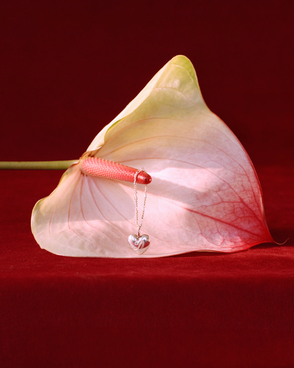 Small Heart Necklace