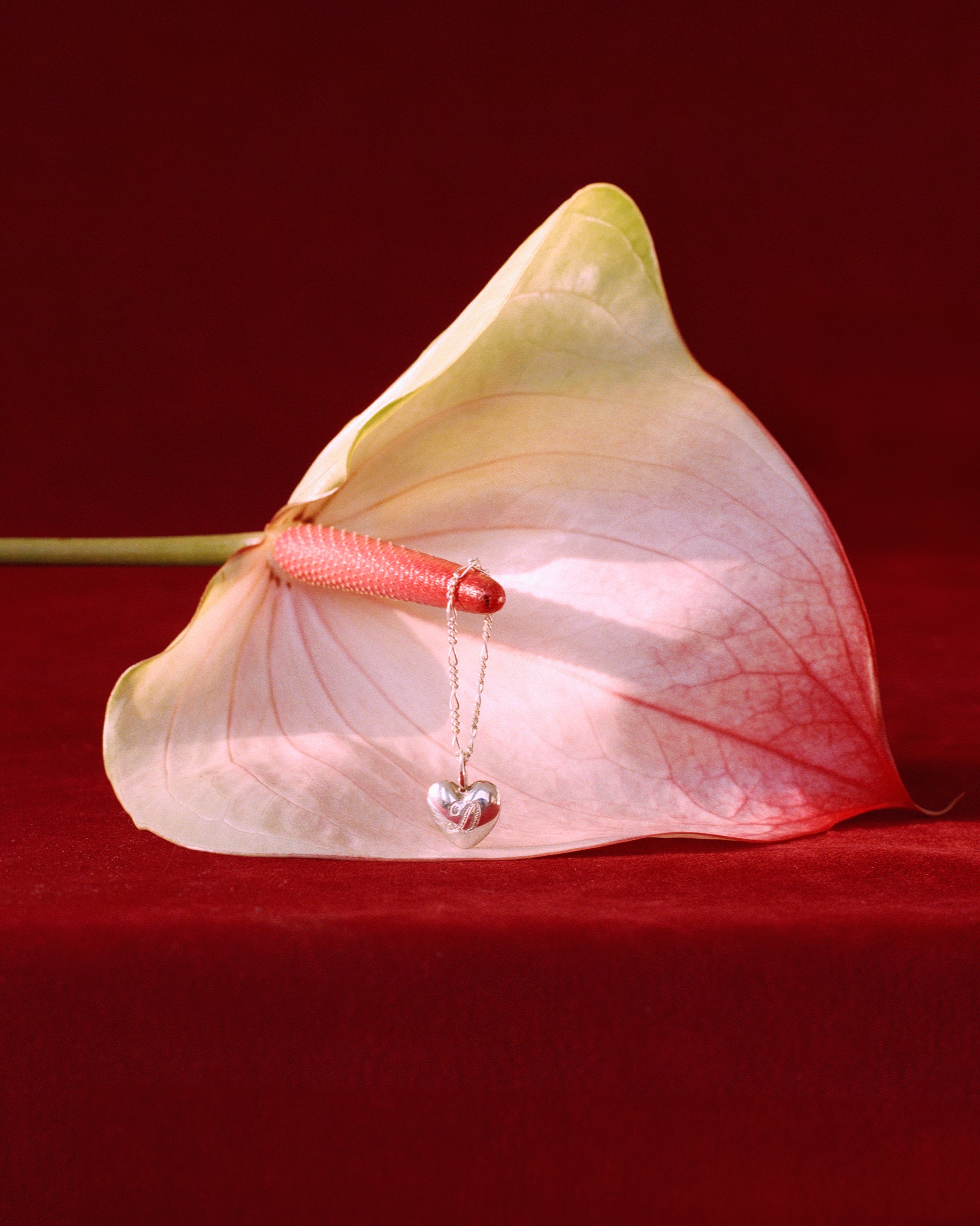 Small Heart Necklace